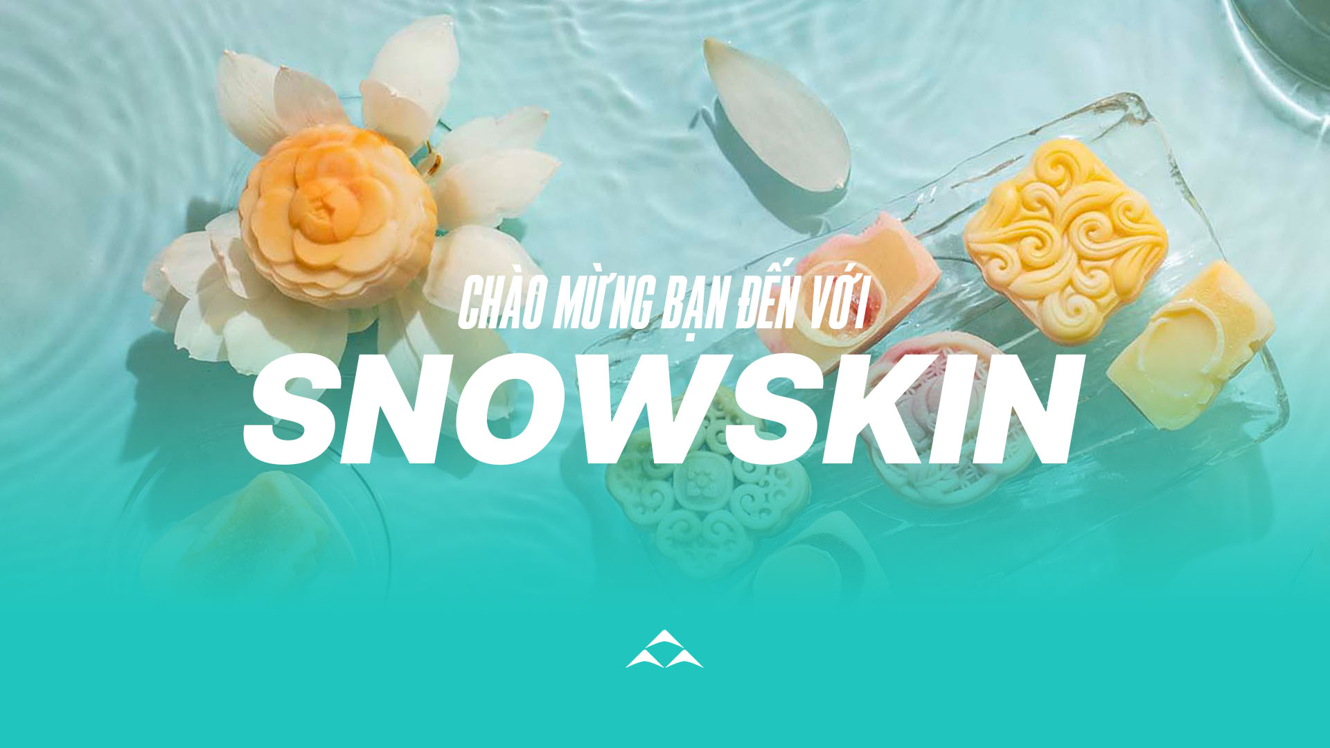 Giới thiệu về bánh Snowskin